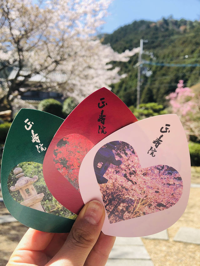 【京都】どこも可愛い女子旅におすすめのお寺