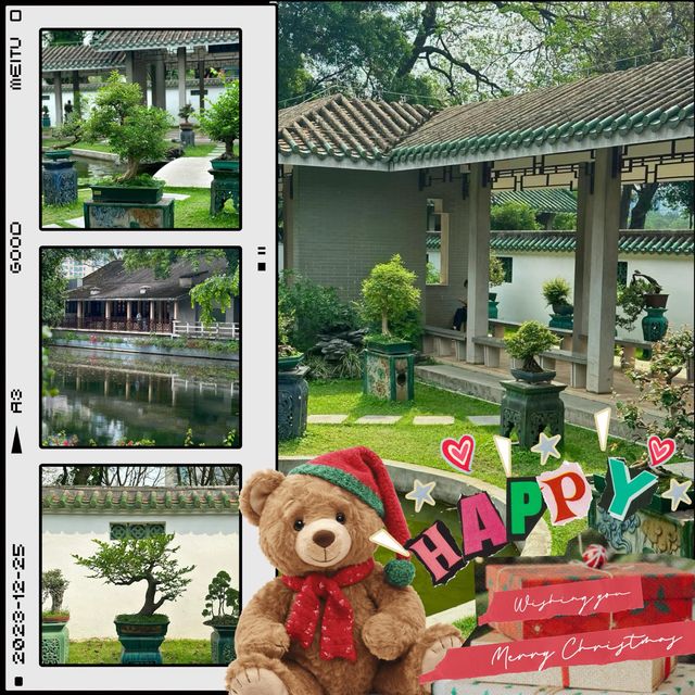 澳門花城公園：花海中的寧靜與美麗 🌺🌳
