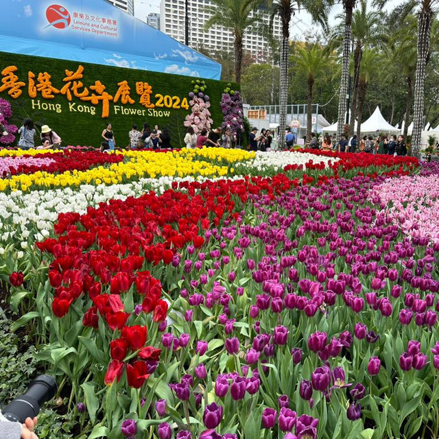 Hong Kong Flower Show