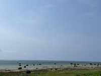 沖縄・石垣島。白保公民館指定文化財『真謝御嶽(マーザーオン)』