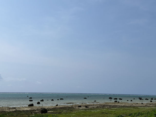 沖縄・石垣島。白保公民館指定文化財『真謝御嶽(マーザーオン)』