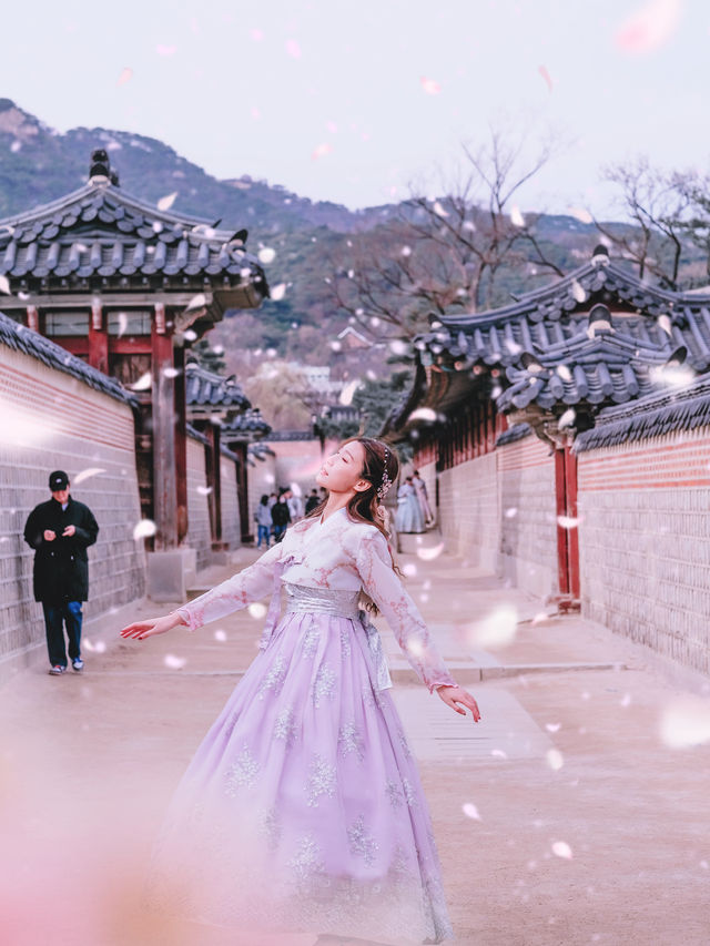 韓國宮廷服加櫻花 又有夢幻照片組合！