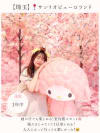 お花見桜スポット16選🌸【関東編】