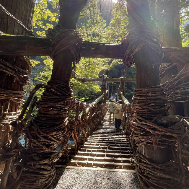 【徳島県】祖谷のかずら橋で度胸試し💪🏻