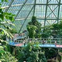 上海辰山植物園：綠色殿堂，世外桃源