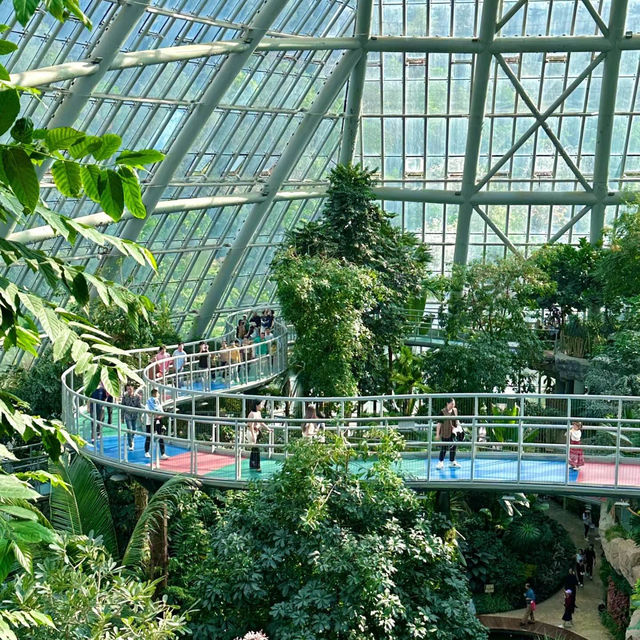 上海辰山植物園：綠色殿堂，世外桃源