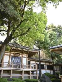 【東光寺/東京都】龍神のいる神仏習合の名残りある寺院