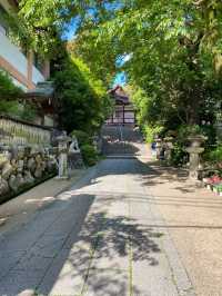 【京都】宇治神社と神使のみかえり兎