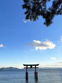 【滋賀観光】琵琶湖の中の大鳥居が圧巻⛩夕暮れ時も素敵です✨