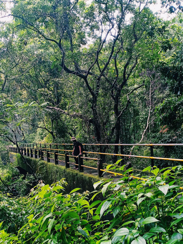 Tiu Kelep Waterfall