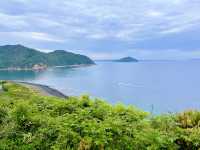 【糸島】福岡でトトロの森探検&絶品塩プリンを食す