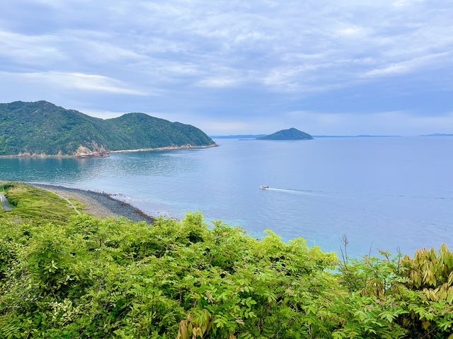 【糸島】福岡でトトロの森探検&絶品塩プリンを食す