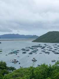 【母親節2024】探索馬屎洲地質畫廊，保護海洋生物