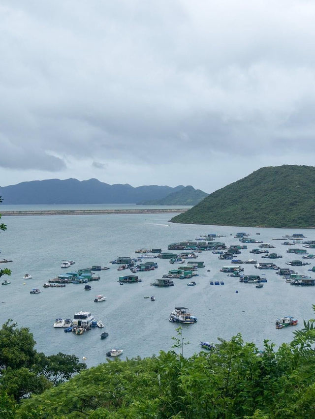 【母親節2024】探索馬屎洲地質畫廊，保護海洋生物