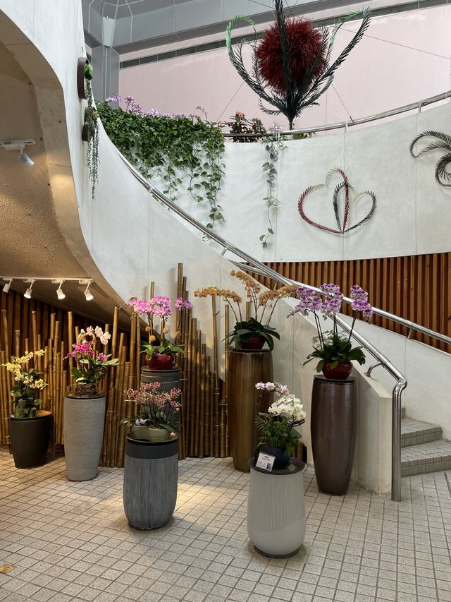 🌸🌼✨ 春天好去處：繁花似錦霍士傑溫室 ✨🌼🌸