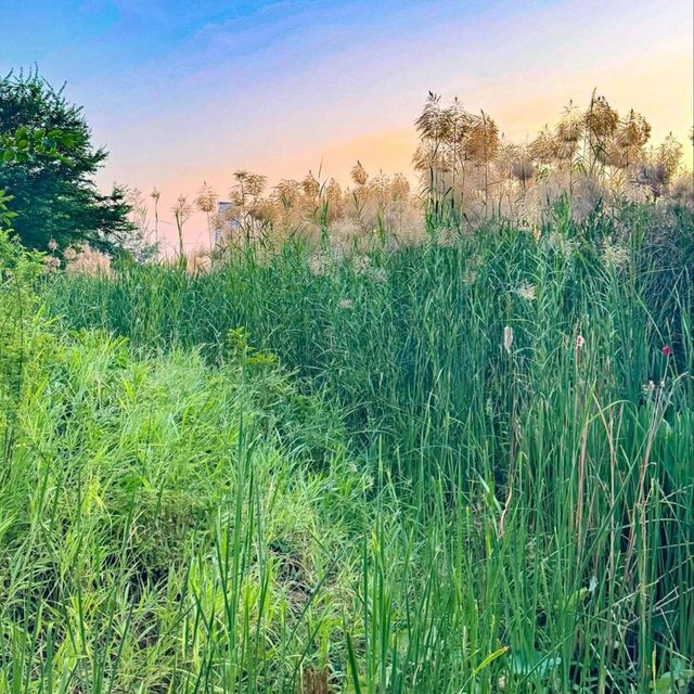Benchakiti Forest Garden