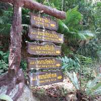 เที่ยวคลายร้อน น้ำตกพรหมโลก