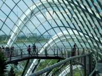 เที่ยว Garden by the bay ที่สิงคโปร์ 