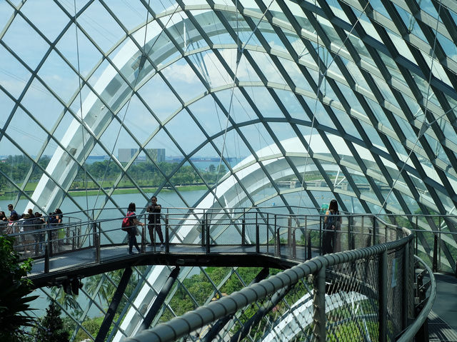 เที่ยว Garden by the bay ที่สิงคโปร์ 