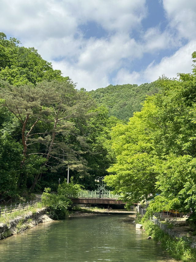 서울 근교, 포천에서 🏝️ 여름을 풍성하게 느껴볼 수 있는 여름 나들이 여행지 추천 ! 💫
