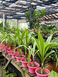 Why Choose AGRO Nursery?