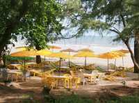 ร้าน Vibe ริมหาด Yellow Resto