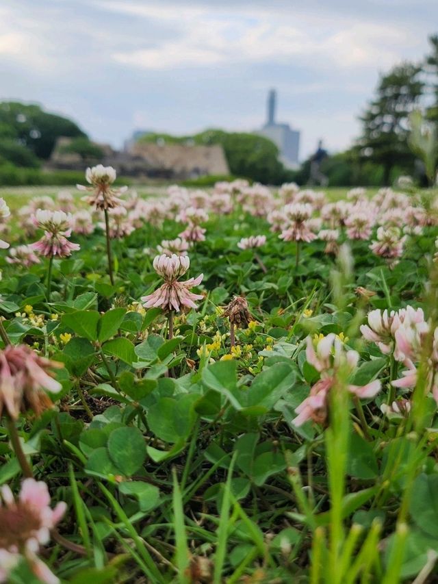 The East Garden of The Imperial Palace