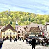 Freiburg: Where History Meets Greenery - A Traveler's Delight