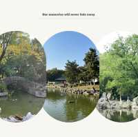 「2024年春天好去處：人民公園花海，歷史底蘊與園林風光」