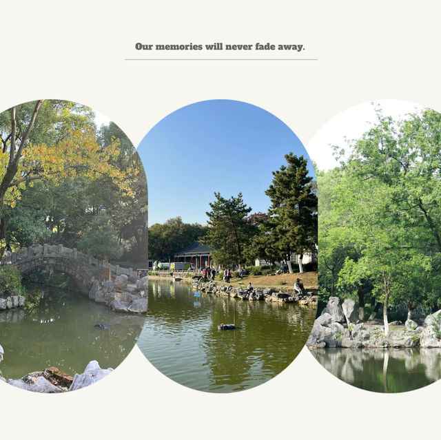 「2024年春天好去處：人民公園花海，歷史底蘊與園林風光」