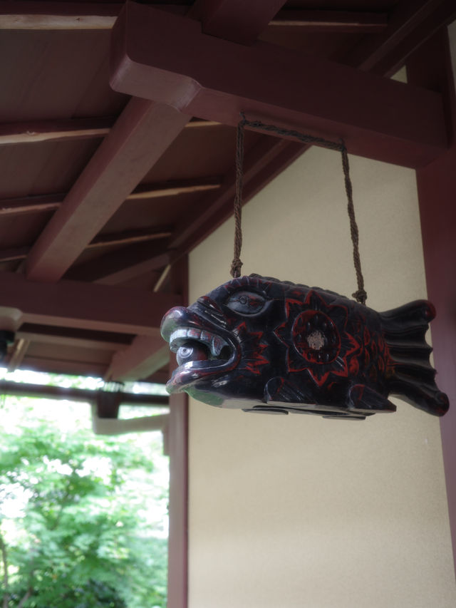 📍界加賀/石川県