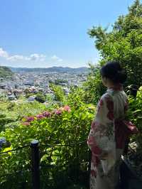 〜神奈川県〜人気紫陽花スポット！混雑回避プラン