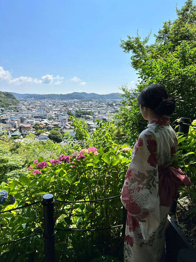 〜神奈川県〜人気紫陽花スポット！混雑回避プラン