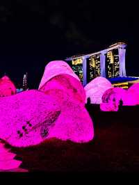 【アート🎨】期間限定i light Singapore2024💫
