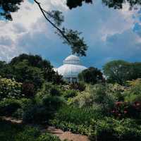 「下賀茂熱帶植物園：熱帶雨林奇景，原始自然之旅」