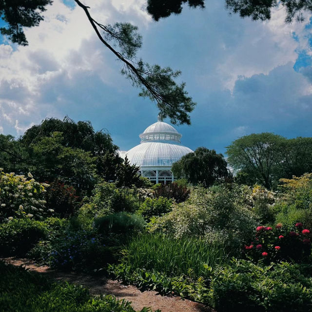 「下賀茂熱帶植物園：熱帶雨林奇景，原始自然之旅」