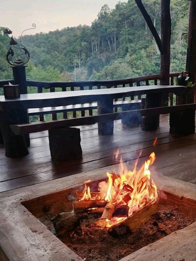 เข้าป่าฤดูฝนเที่ยวบน บ้านต้นไม้ แม่แมะ - เชียงดาว