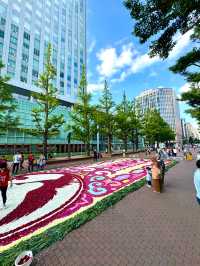 札幌　札幌観光　サッポロフラワーカーペット2024に行ってきた