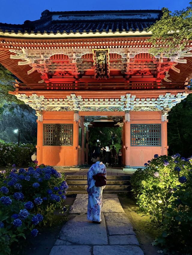 〜茨城県〜幻想的！7/7まで雨引き観音ライトアップ✨