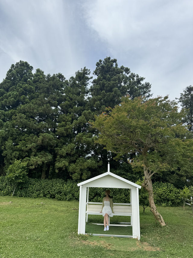 귀여운 젖소들을 아주 가까이에서 볼 수 있는 이색 목장 ✨