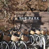 【東京富士山附近】野the park山中湖：美景，餐廳，絕對不容錯過！