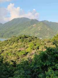 最佳數飛機地點- 觀景山