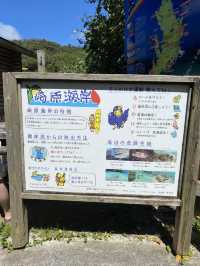 【奄美】南国！フォトジェニック崎原海岸（さきばるかいがん）