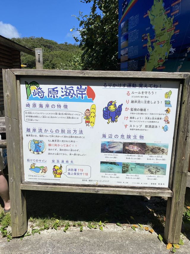 【奄美】南国！フォトジェニック崎原海岸（さきばるかいがん）