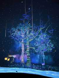 Amazing Glass Rotunda Digital Flora and Fauna