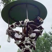 【北海道/旭川　動物達の行動を間近で見られる工夫を凝らした動物園】