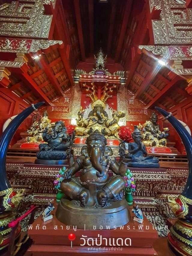 พิกัดสายมู ขอพรพระพิฆเนศ 📍วัดป่าแดด เชียงใหม่