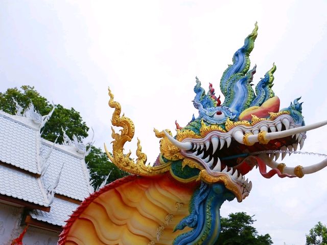 สักการะขอพรลอดพญาเต่า วัดหนองจับเต่า