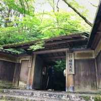 【🇯🇵京都】🍁息を呑む美しいリフレクション