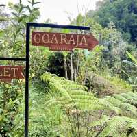 Goa Raja瀑布-別有洞天的巨大瀑佈，冒險型旅行者必去